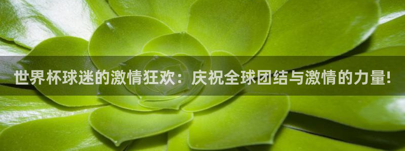 世界杯 中国：世界杯球迷的激情狂欢：庆祝全球团结与激情的力量!