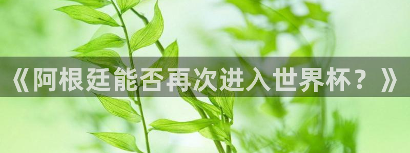 世界杯决赛圈球队：《阿根廷能否再次进入世界杯？》