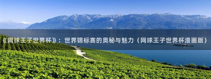世界杯 2026：《网球王子世界杯》：世界锦标赛的奥秘与魅力（网球王子世界杯漫画版）