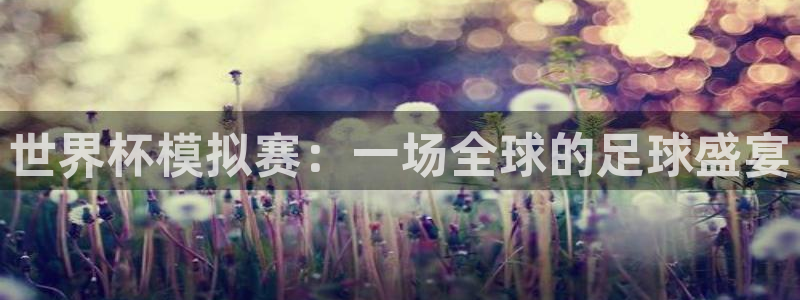 足球杯：世界杯模拟赛：一场全球的足球盛宴