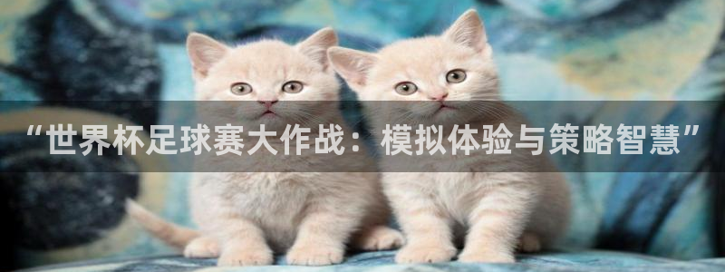 世界杯视频：“世界杯足球赛大作战：模拟体验与策略智慧”