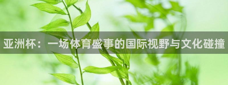 免费看足球直播比赛：亚洲杯：一场体育盛事的国际视野与文化碰撞