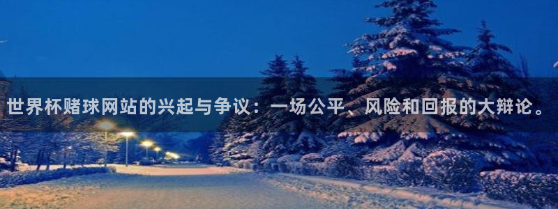 足球世界杯：世界杯赌球网站的兴起与争议：一场公平、风险和回报的大辩论。