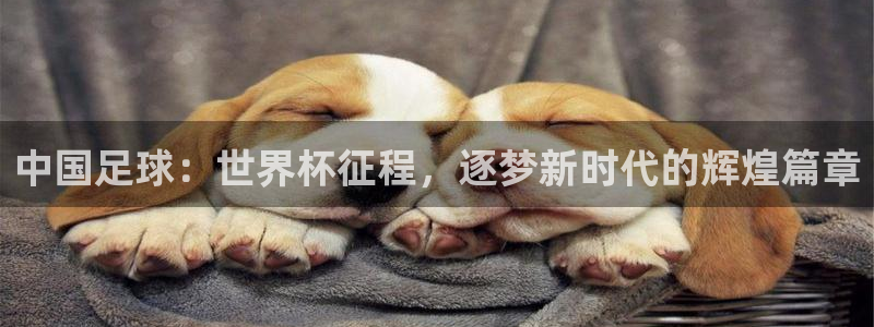 2026世界杯亚洲区预选赛：中国足球：世界杯征程，逐梦新时代的辉煌篇章