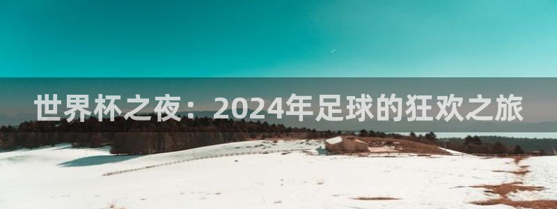 国际足联世界杯：世界杯之夜：2024年足球的狂欢之旅