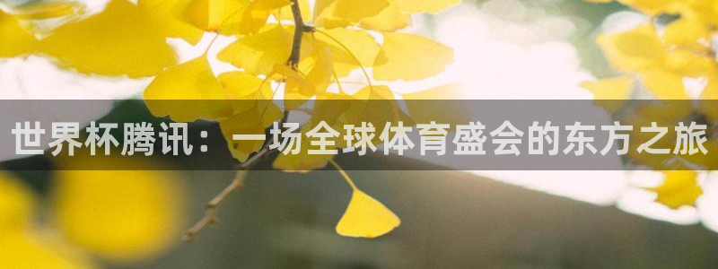 2026世界杯倒计时：世界杯腾讯：一场全球体育盛会的东方之旅