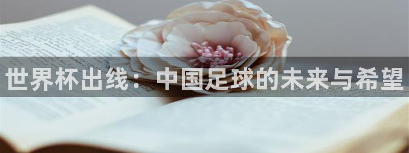 世界杯48支球队赛制：世界杯出线：中国足球的未来与希望