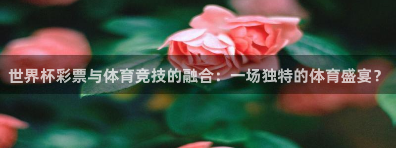足球世界杯时间：世界杯彩票与体育竞技的融合：一场独特的体育盛宴？