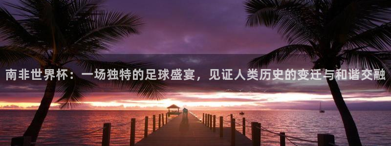 世界杯对阵图2026：南非世界杯：一场独特的足球盛宴，见证人类历史的变迁与和谐交融