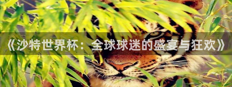 2026世界杯赛制：《沙特世界杯：全球球迷的盛宴与狂欢》