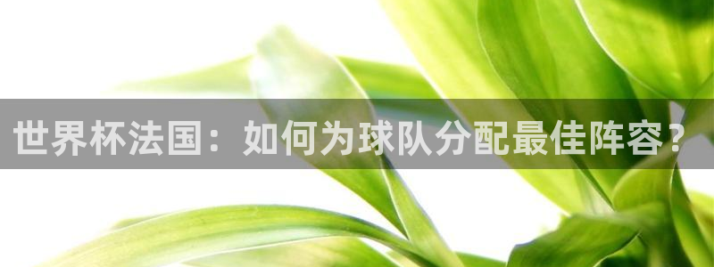 世界杯预选赛直播：世界杯法国：如何为球队分配最佳阵容？